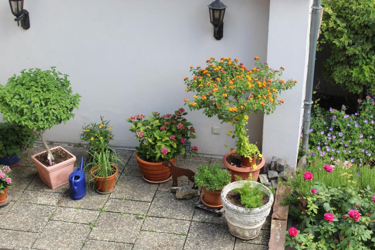 埃尔特维勒Auszeit Im Rheingau公寓 外观 照片
